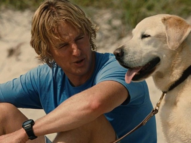 Всё о Собаках